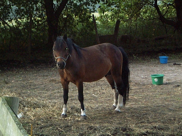 DCP_2812