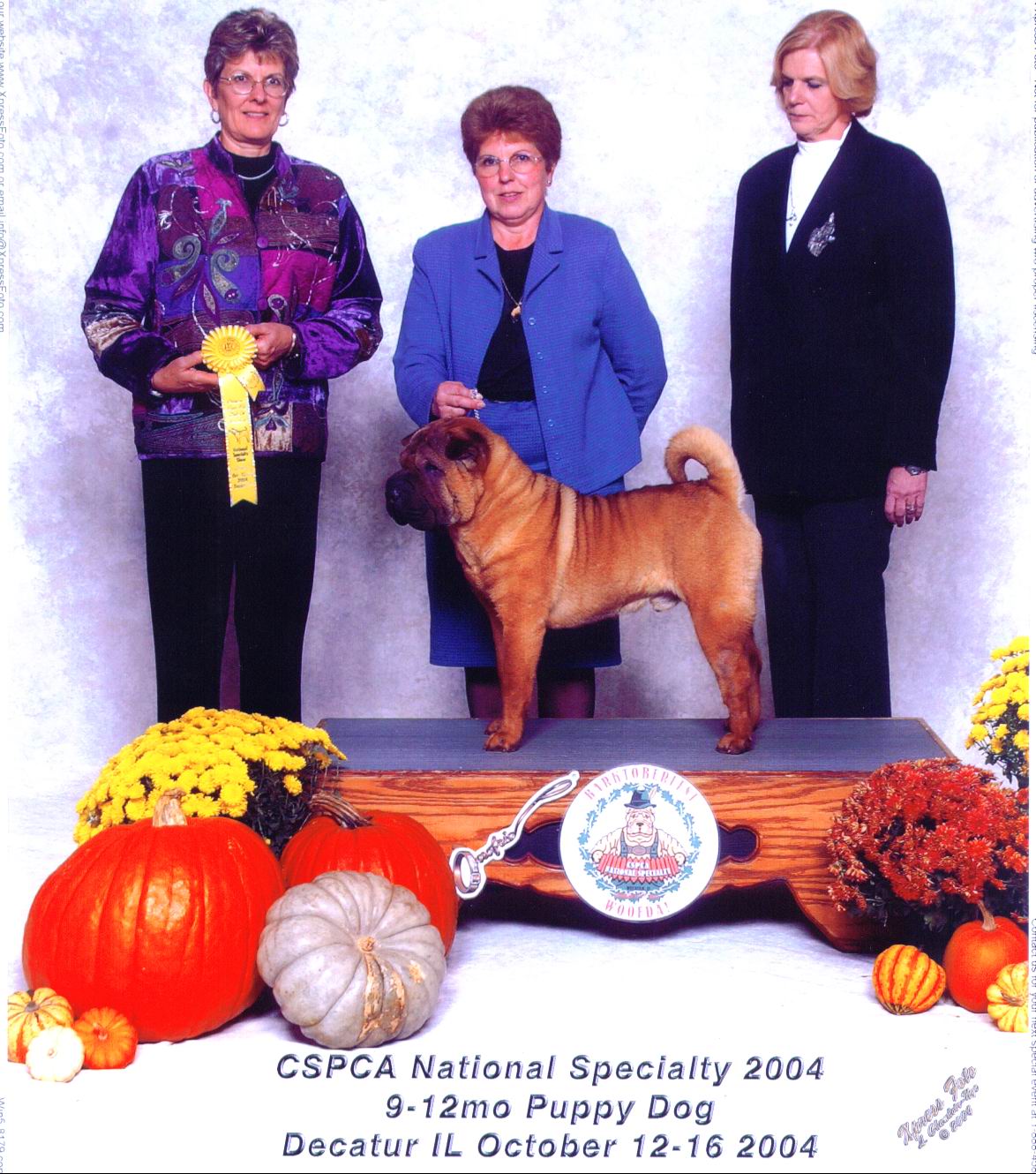 Image-05