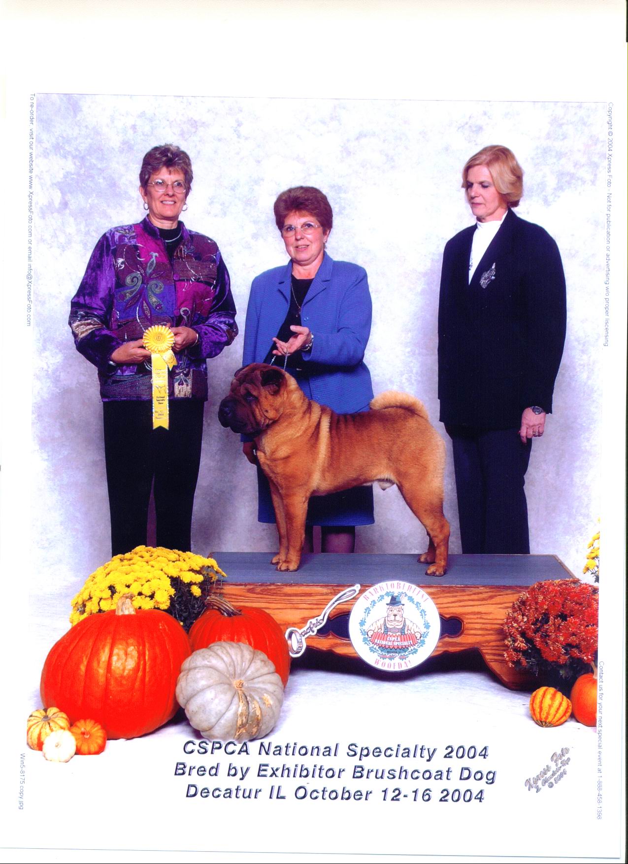 Image-07